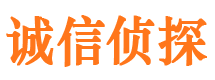 梁子湖外遇调查取证